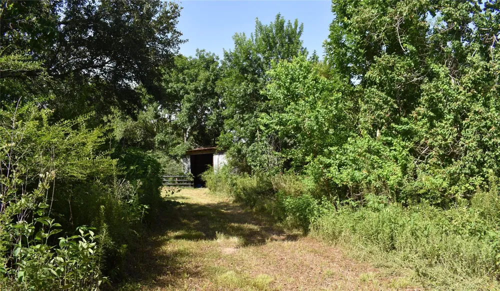 3511 Old Massey Ranch Road Manvel, TX 77578
