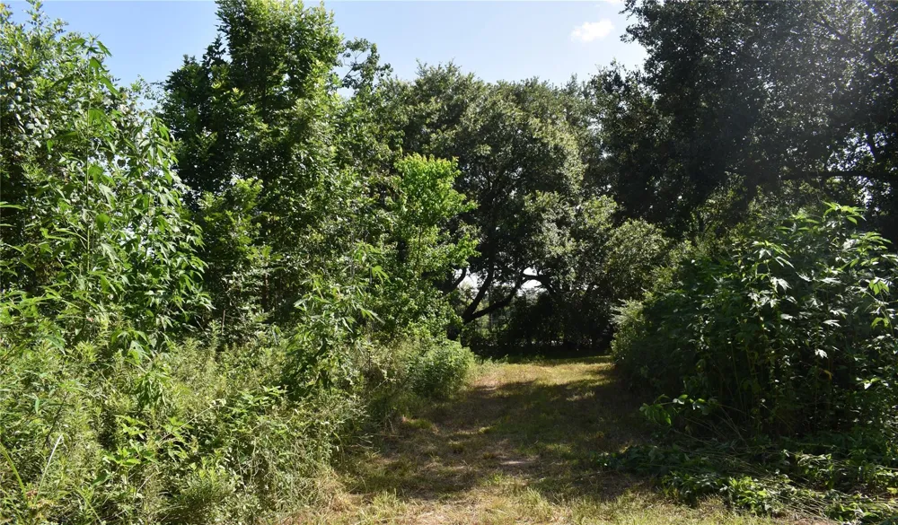 3511 Old Massey Ranch Road Manvel, TX 77578