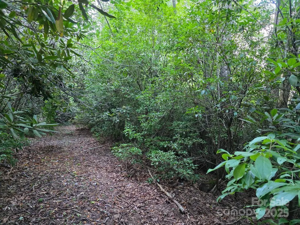 LOT 2 Pine Ridge Road Burnsville, NC 28714