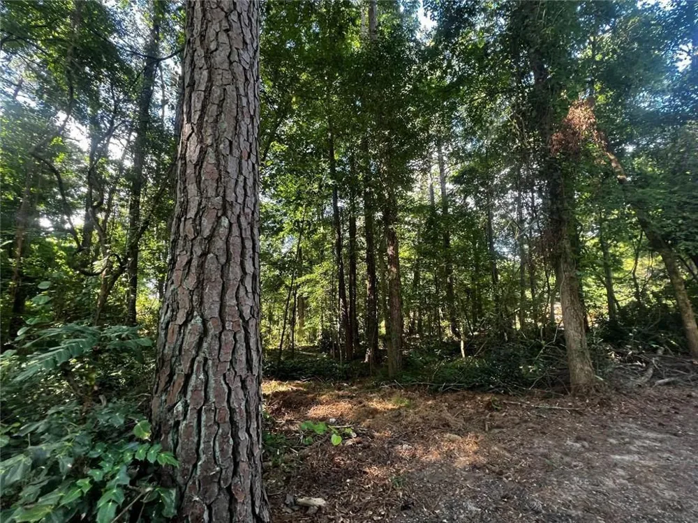 4074 Panola Road Stonecrest, GA 30038