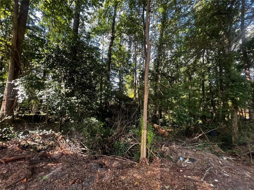4074 Panola Road Stonecrest, GA 30038