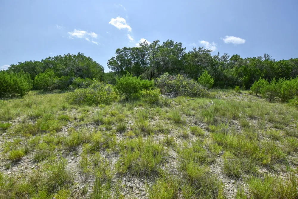 Lime Creek Road Leander, TX 78641
