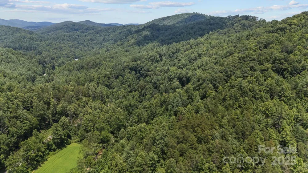 1296 Sheets Gap Road Millers Creek, NC 28651