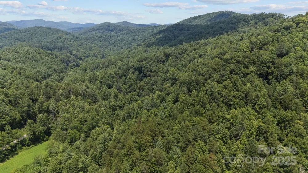 1296 Sheets Gap Road Millers Creek, NC 28651
