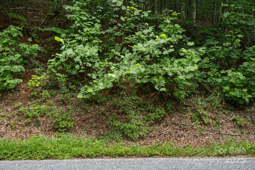 1296 Sheets Gap Road Millers Creek, NC 28651