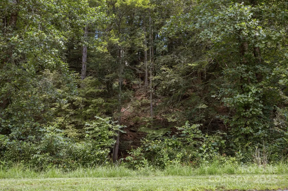 1296 Sheets Gap Road Millers Creek, NC 28651