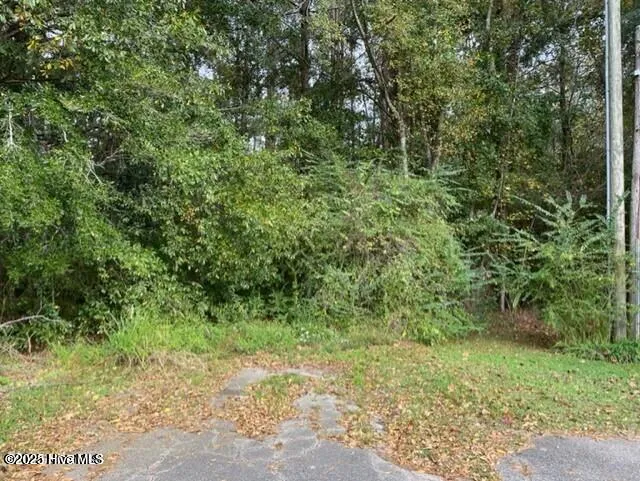 0 Near 715 E 1st Avenue Chadbourn, NC 28431