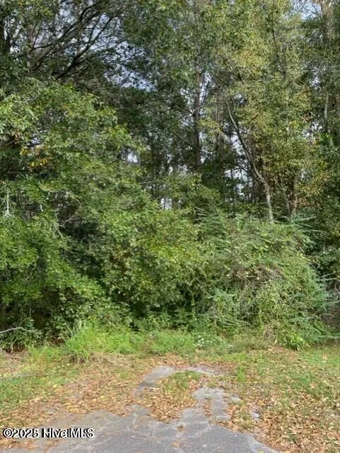 0 Near 715 E 1st Avenue Chadbourn, NC 28431