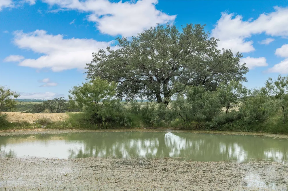 332 Ledge Stone Blanket, TX 67432
