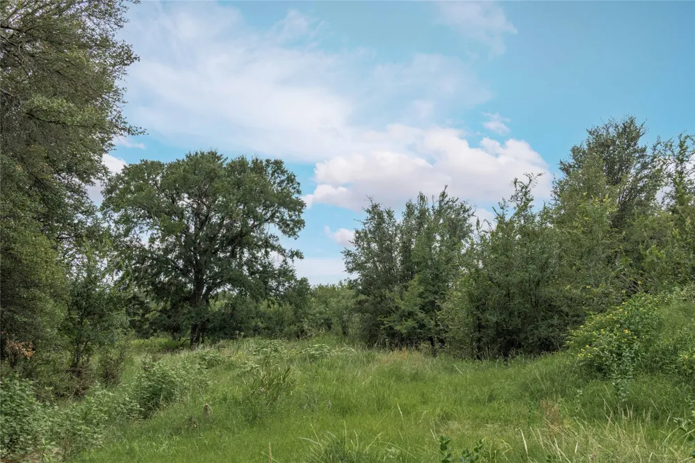 332 Ledge Stone Blanket, TX 67432