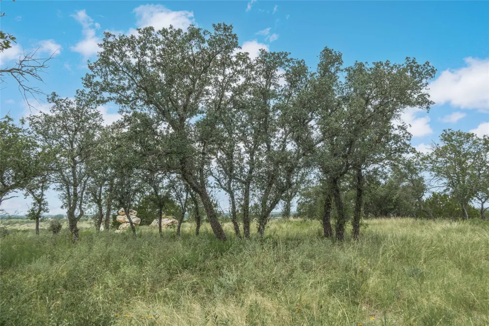 332 Ledge Stone Blanket, TX 67432