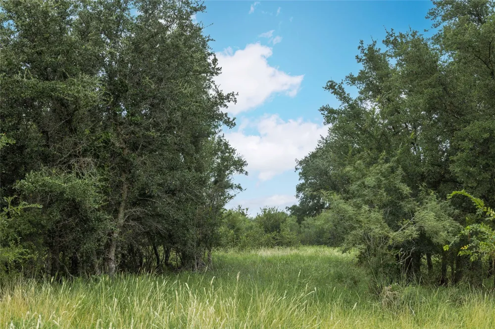 332 Ledge Stone Blanket, TX 67432