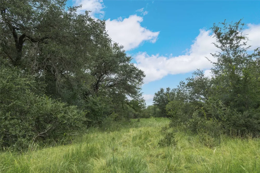 332 Ledge Stone Blanket, TX 67432