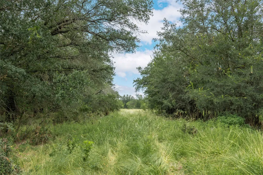 332 Ledge Stone Blanket, TX 67432