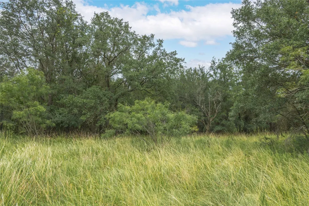 332 Ledge Stone Blanket, TX 67432