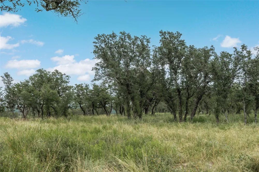 332 Ledge Stone Blanket, TX 67432