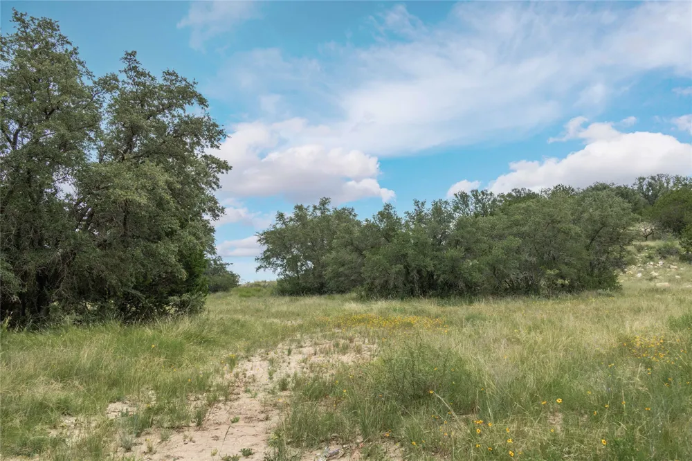 332 Ledge Stone Blanket, TX 67432