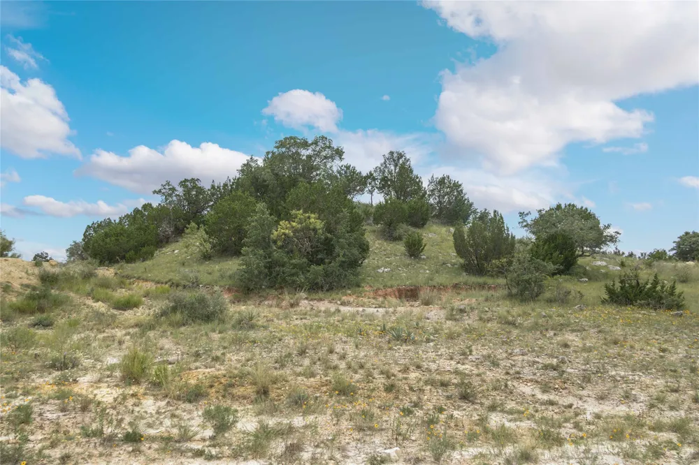 332 Ledge Stone Blanket, TX 67432