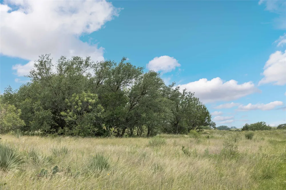332 Ledge Stone Blanket, TX 67432
