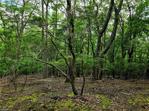 TBD Red Fox Trail