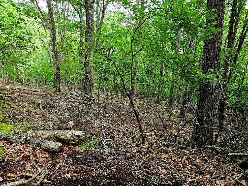 TBD Red Fox Trail Boone, NC 28607