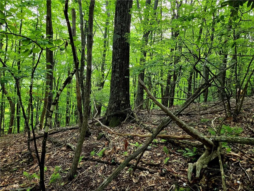 TBD Red Fox Trail Boone, NC 28607