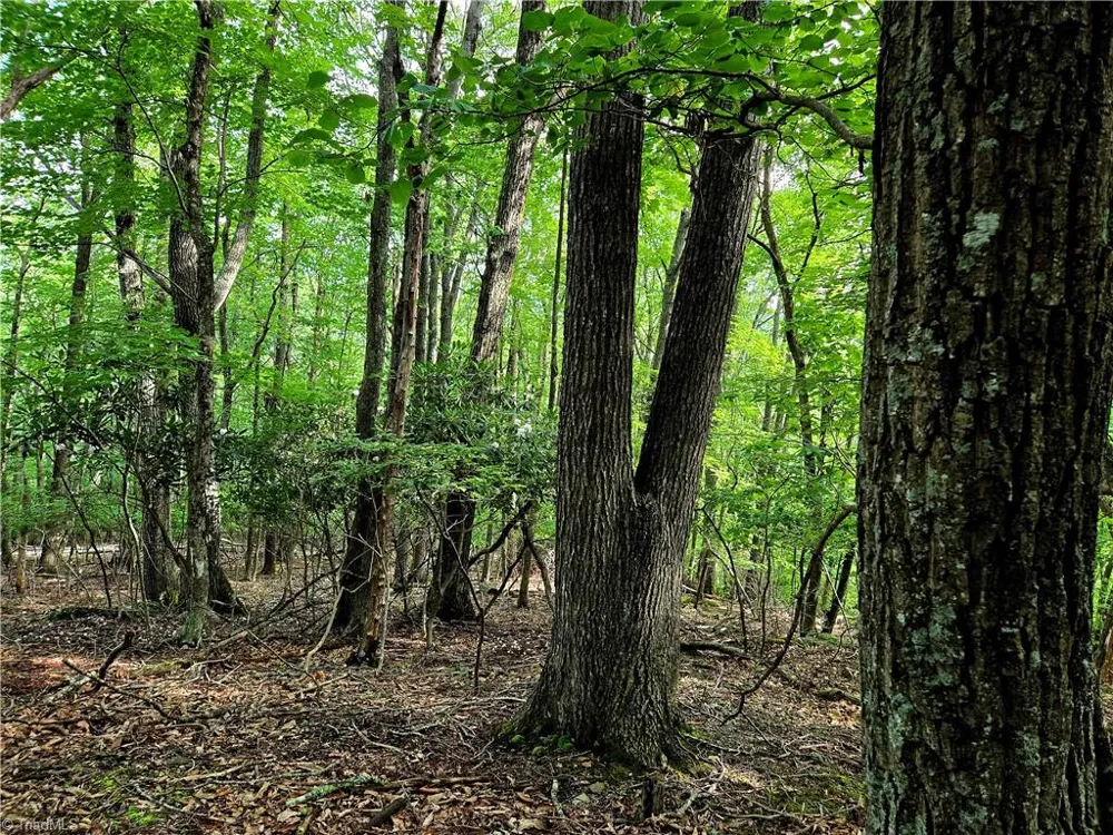 TBD Red Fox Trail Boone, NC 28607
