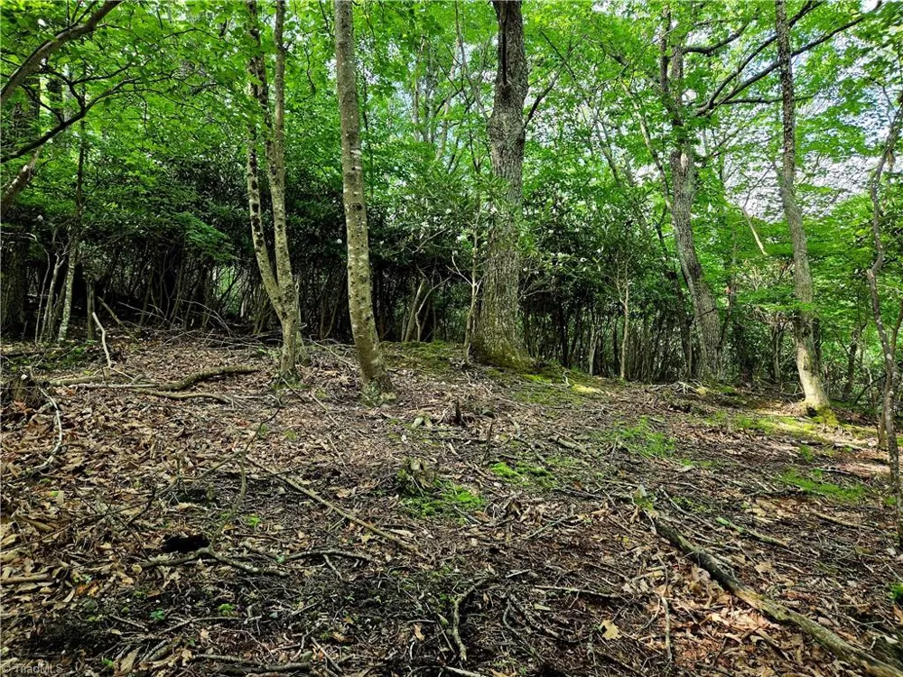 TBD Red Fox Trail Boone, NC 28607