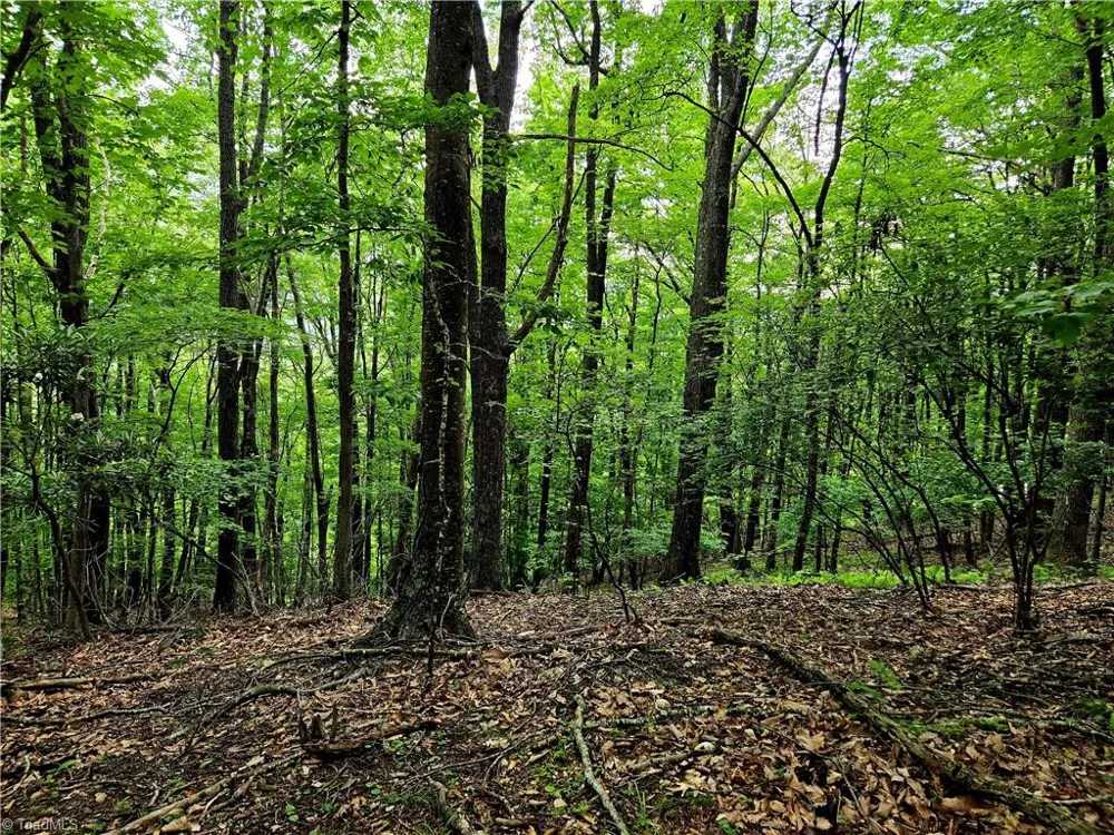 TBD Red Fox Trail Boone, NC 28607