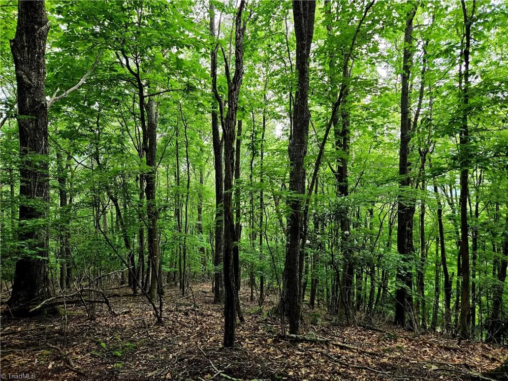 TBD Red Fox Trail Boone, NC 28607