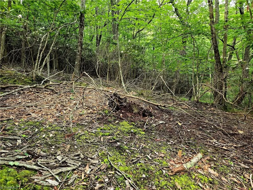 TBD Red Fox Trail Boone, NC 28607