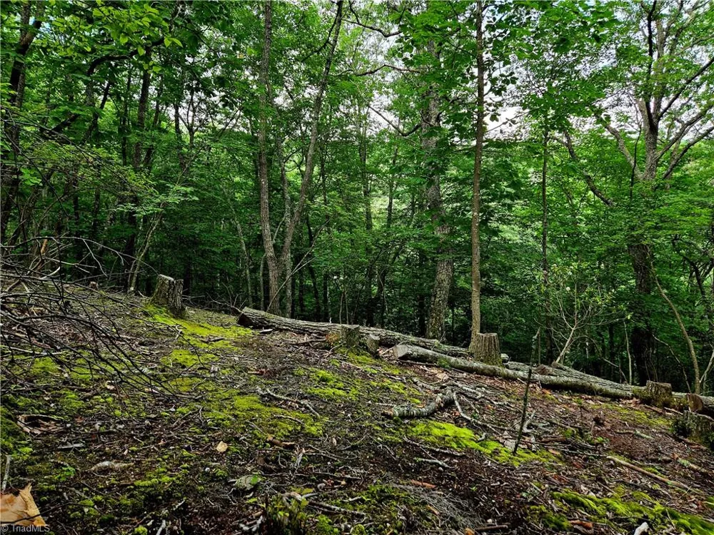 TBD Red Fox Trail Boone, NC 28607