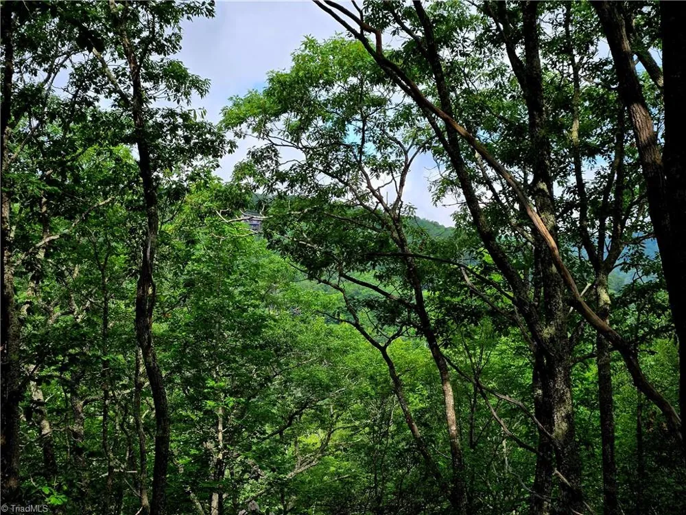 TBD Red Fox Trail Boone, NC 28607