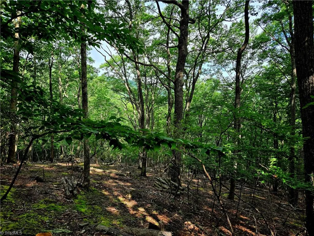TBD Red Fox Trail Boone, NC 28607