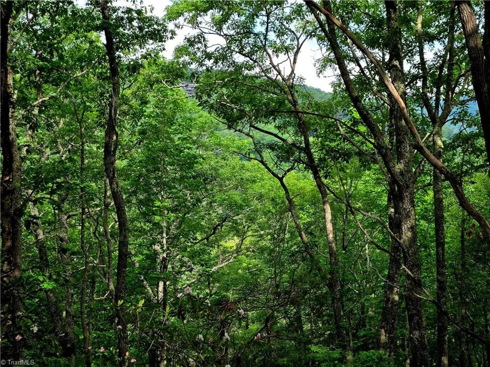 TBD Red Fox Trail Boone, NC 28607