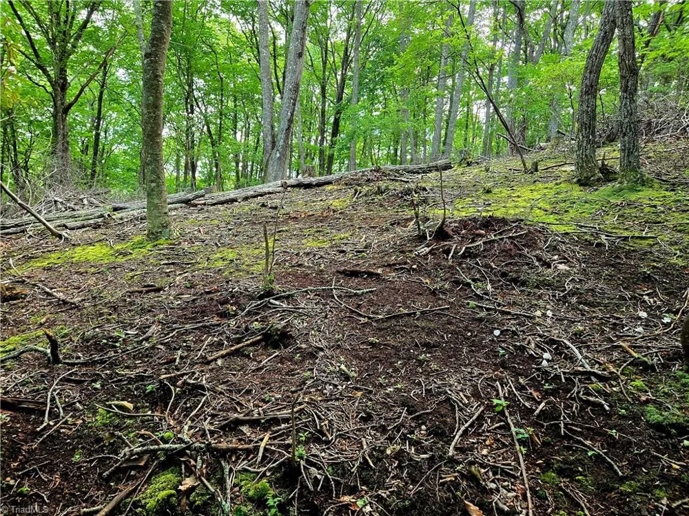 TBD Red Fox Trail Boone, NC 28607
