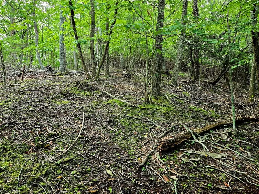 TBD Red Fox Trail Boone, NC 28607