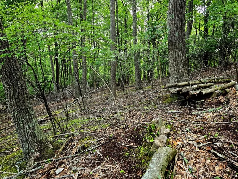 TBD Red Fox Trail Boone, NC 28607