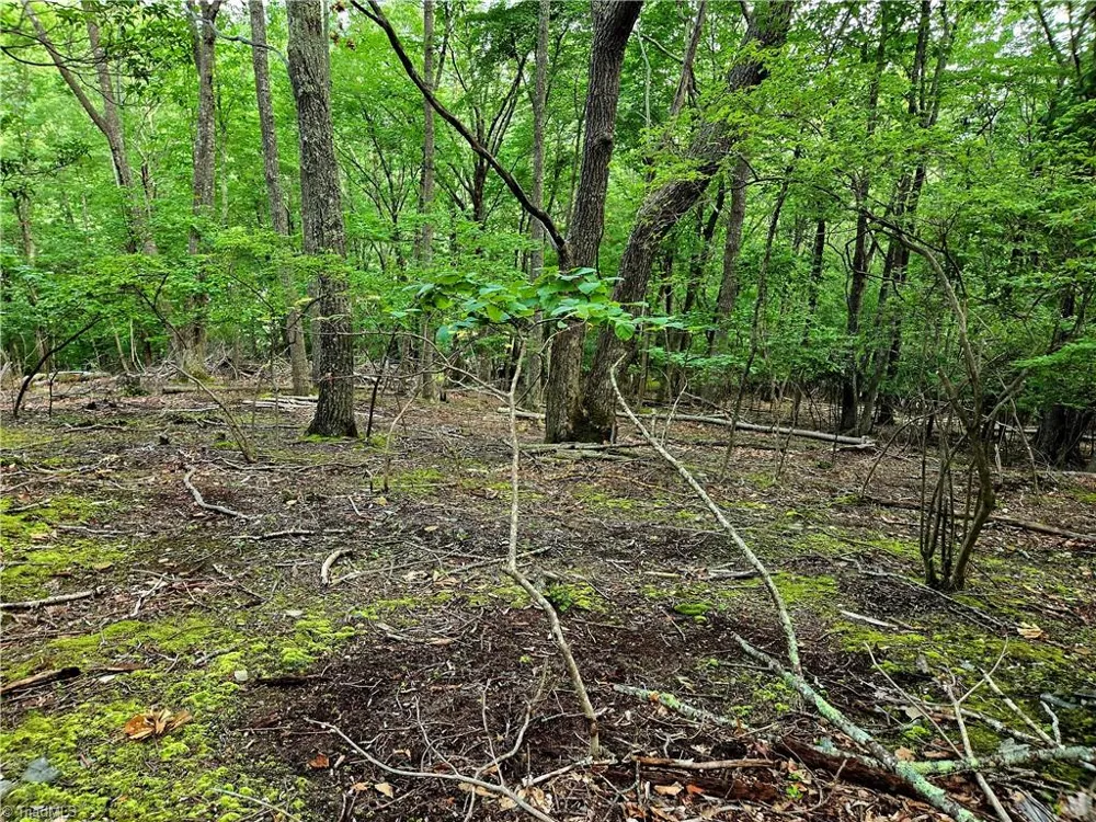 TBD Red Fox Trail Boone, NC 28607