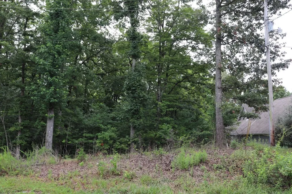 0 Moonlight Bay Dr Sparta, TN 38583