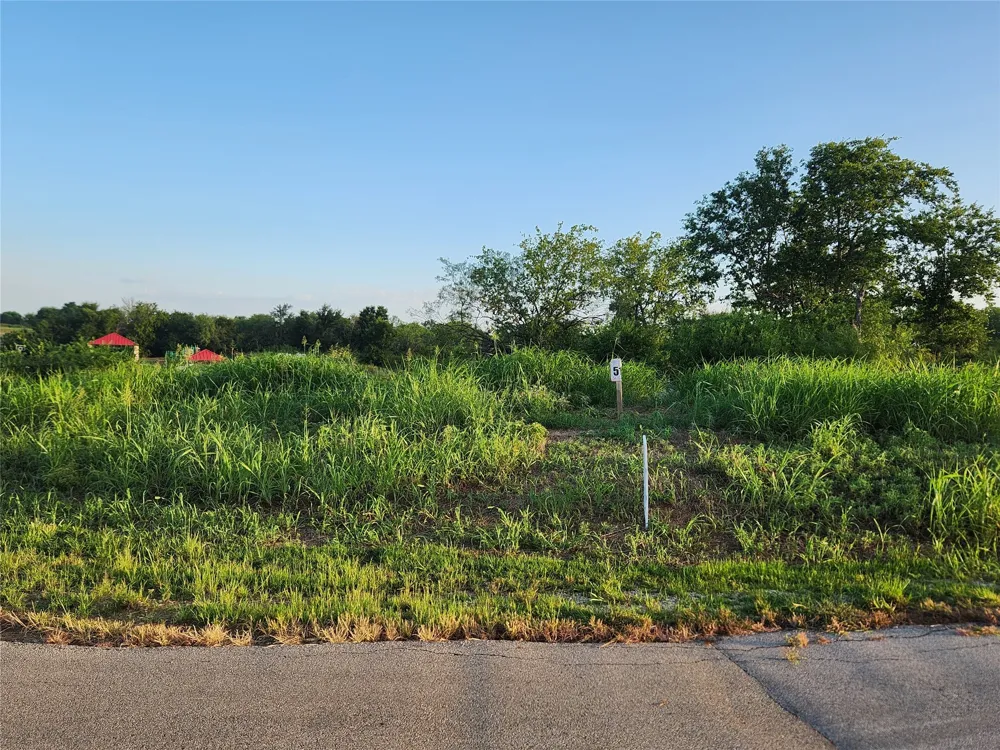 Richland Park Drive Mildred, TX 75109
