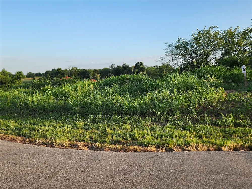 Richland Park Drive Mildred, TX 75109