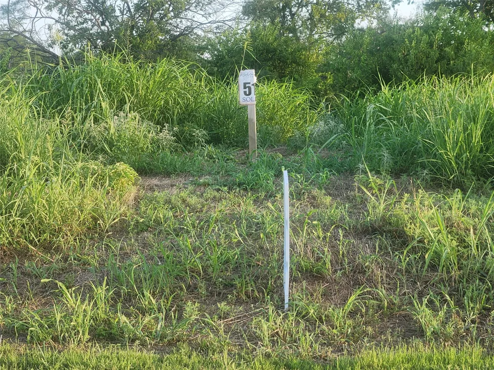Richland Park Drive Mildred, TX 75109