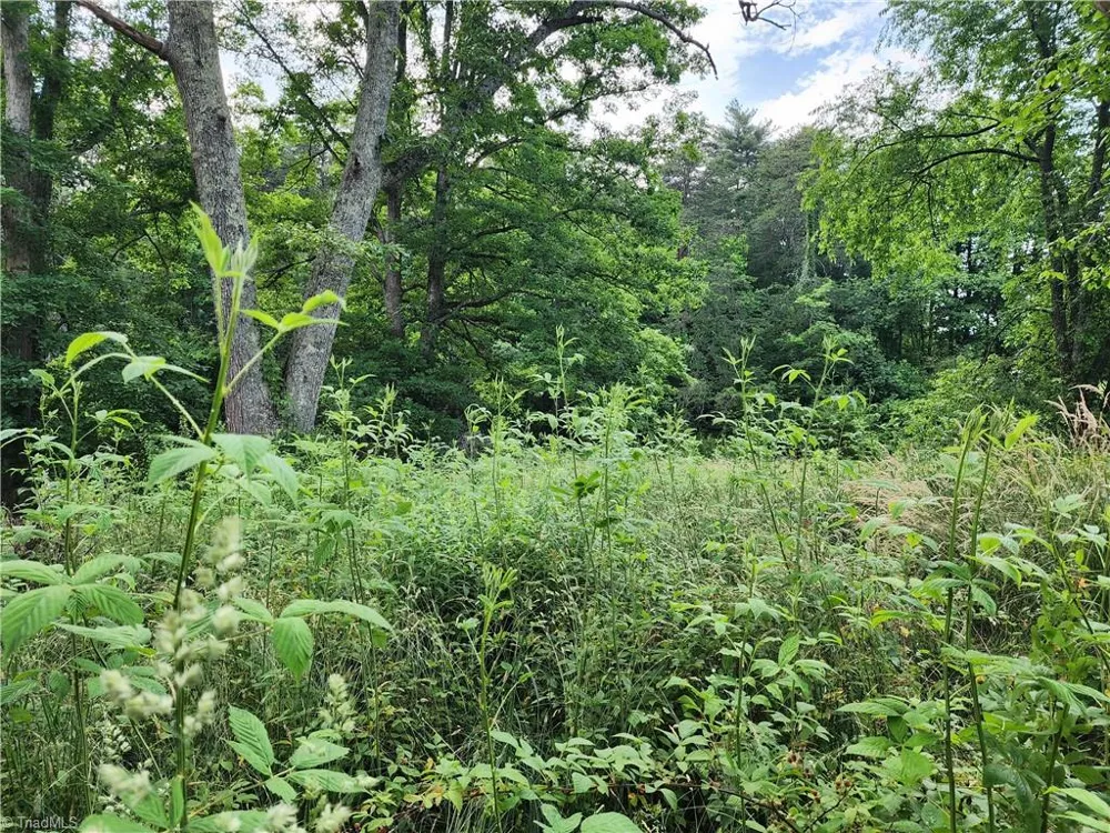 000 W US Highway 421 Wilkesboro, NC 28697