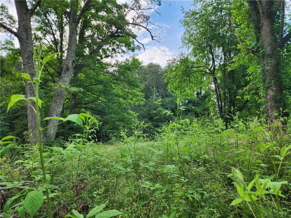 000 W US Highway 421 Wilkesboro, NC 28697