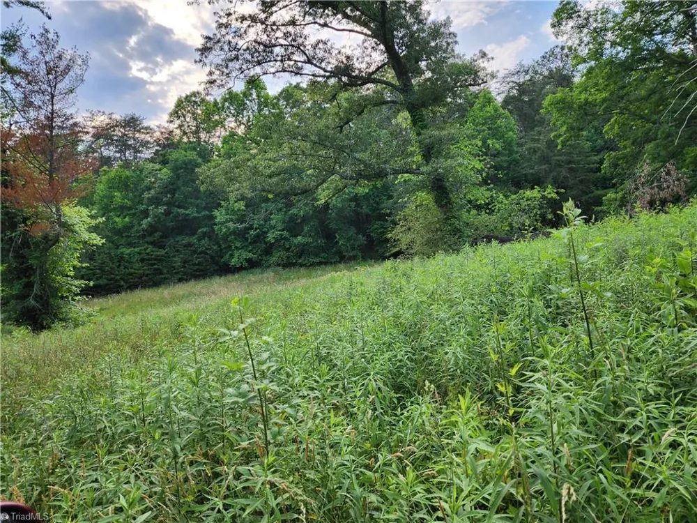 000 W US Highway 421 Wilkesboro, NC 28697