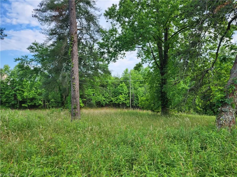 000 W US Highway 421 Wilkesboro, NC 28697