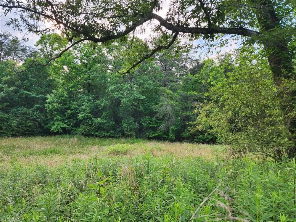 000 W US Highway 421 Wilkesboro, NC 28697