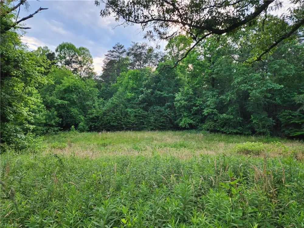000 W US Highway 421 Wilkesboro, NC 28697