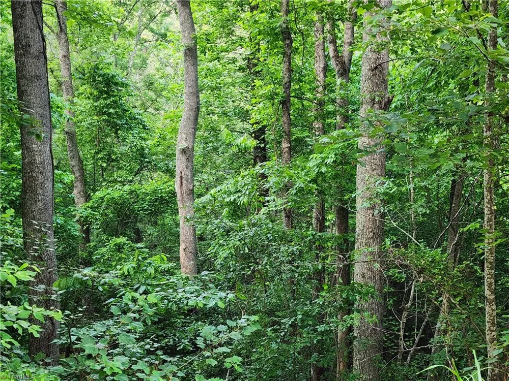 000 W US Highway 421 Wilkesboro, NC 28697